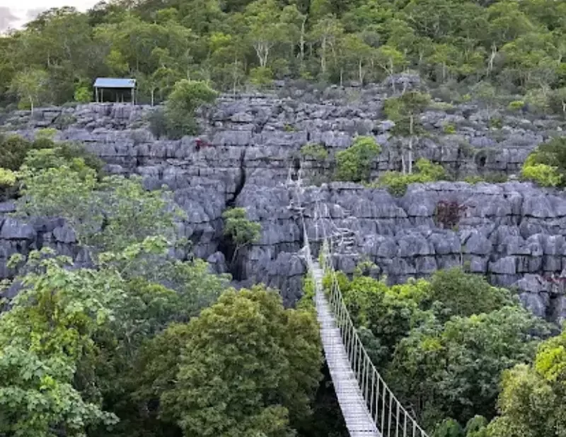 Le célèbre Pont Suspendu de l'Ankarana