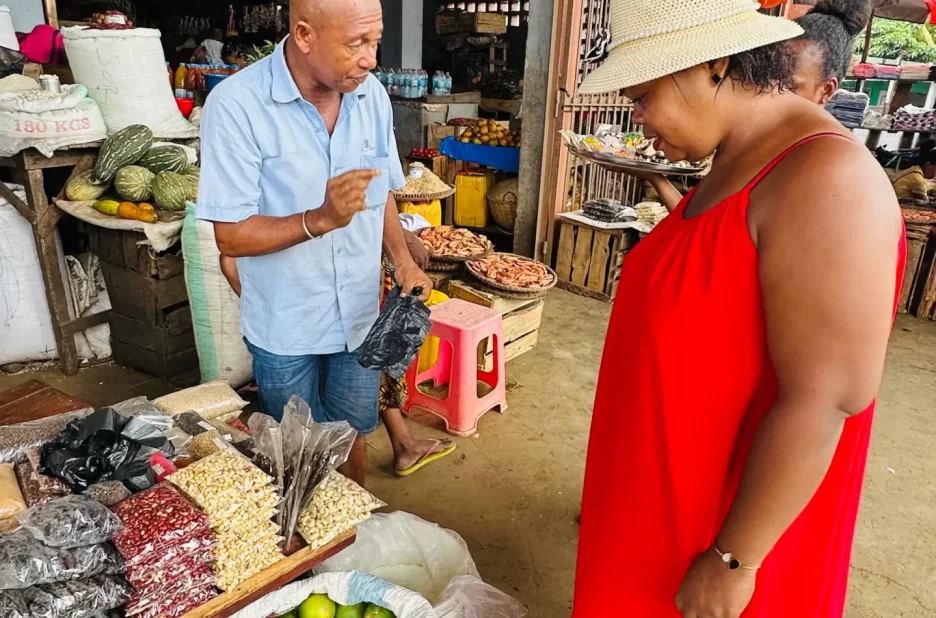 Explorez Nosy Be avec un City Tour Authentique (1)