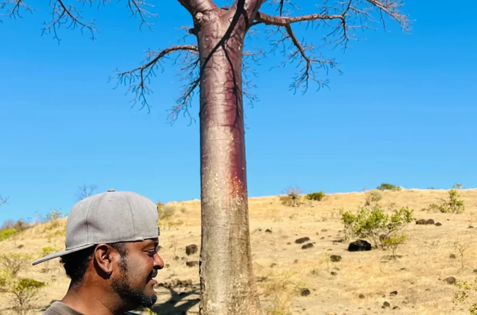 Paysages uniques du nord de Madagascar