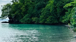 Visitez Nosy Komba et Nosy Tanikely _ Nature et Fonds Marins