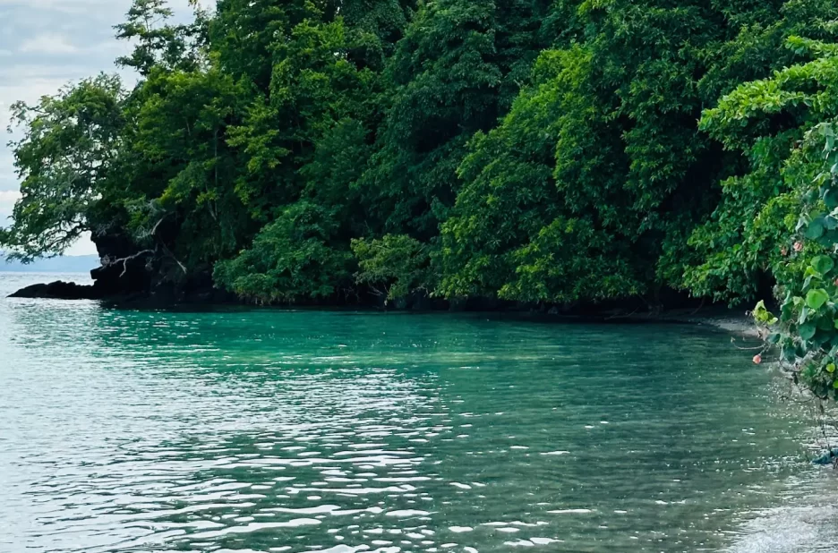 Visitez Nosy Komba et Nosy Tanikely _ Nature et Fonds Marins